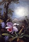 Martin Johnson Heade Orchids, Passion Flowers and Hummingbird painting